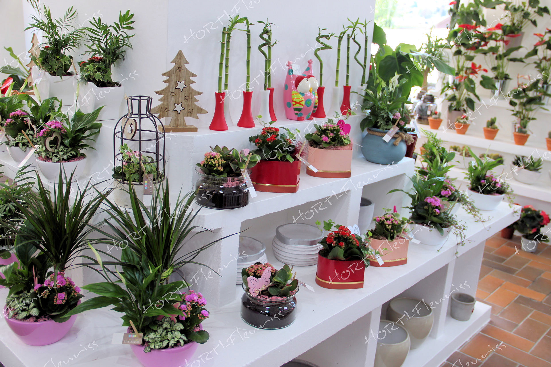 Offire fleurs Gérardmer